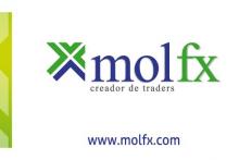 Molfx Management