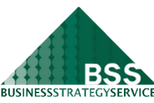 BSS Consultores