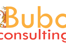 Bubo Consulting