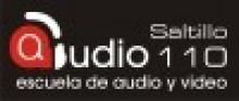 Audio 110 dB Saltillo