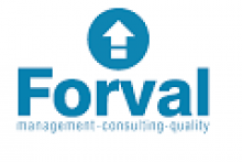 Forval Consultores