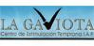 La Gaviota Centro de Estimulación Temprana I.A.P.
