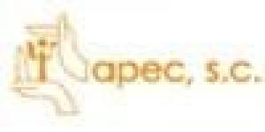 Apec Sc Desarrollo Organizacional