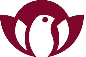 Centro de Estudios Superiores Monte Fénix