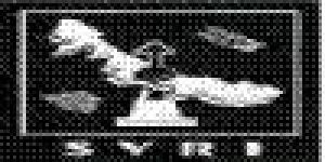 Svri - Sociedad Veracruzana de Radiología e Imagen