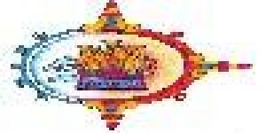 Soluna, Medicina Alternativa y Tradicional