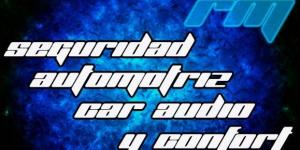 Rmseguridadautomotriz