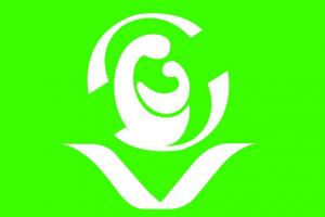 SERVICIOS PARA EL DESARROLLO SOCIAL Y HUMANO (SEDESOHU)