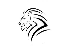 Liderazgo de la Siguiente Generación