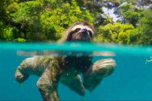 Training Center Mexico