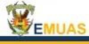 Emuas Escuela de Música de la U. A. S.