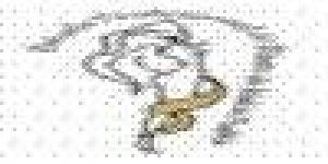 Escuela Profesional de Diseño de Modas Puebla