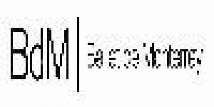 Ballet Artístico de Monterrey