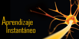 Aprendizaje Instantáneo