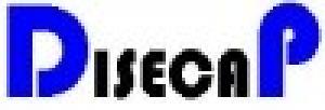 DISECAP - Desarrollo Integral de Servicios y Capacitación