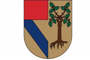 Universidad Panamericana Abierta