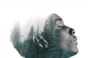 Tactical Mx Escuela de Tiro