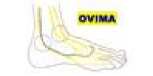 Centro de Talleres en Atención Del Pie