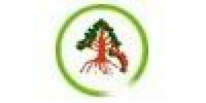 Universidad Tecnológica de la Selva