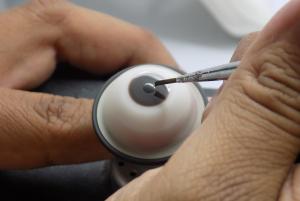 Instituto Mexicano de Rehabilitación Protésica