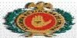 Academia Mexicana de Cirugía