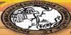 Sociedad Mexicana de Rinología y Cirugía Facial