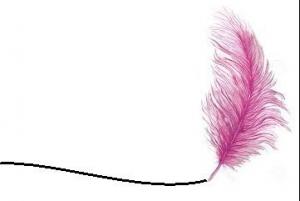 Ateneo Mexicano en Ciencias del Grafismo S.A.S.