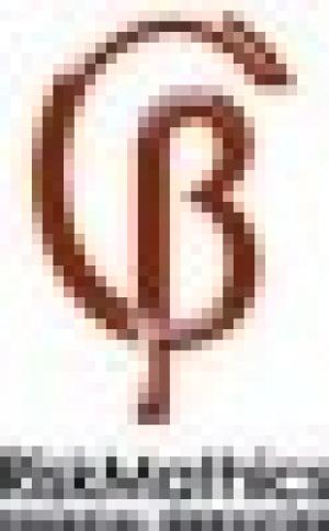 RiskMathics Financial Innovation