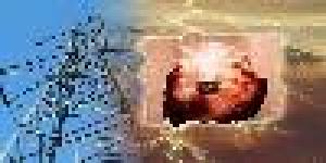 Me Entrenamiento Industrial, Cursos para empresas