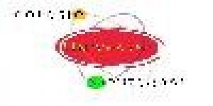 Colegio Universal Montessori