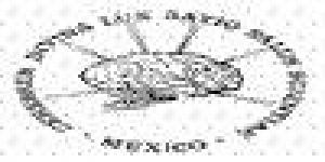 Instituto Nacional de Neurología y Neurocirugía