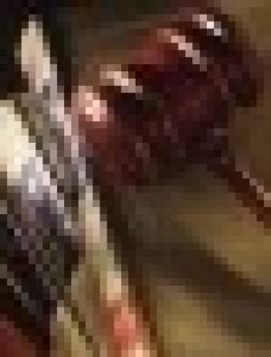 Lic. Eduardo F. Dávila Garza