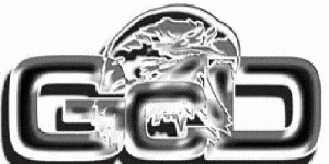 IFPO International Foundation for Protection Officer México