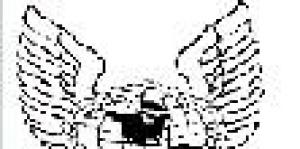 Academia Internacional Aeronáutica