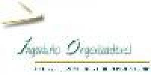 Ingeniería Organizacional