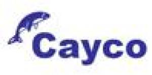 Cayco Capacitación Y Consultoría