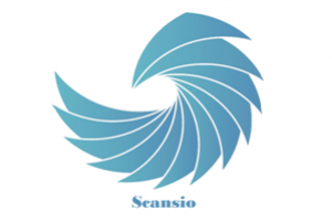 Consultoría Scansio