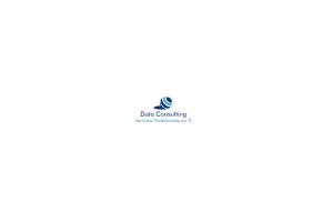 dataconsulting