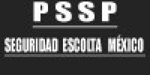 P S S P - Programas de Seguridad y Sistemas de Protección