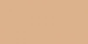 Facultad de Estudios Superiores Zaragoza, UNAM