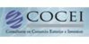 Consultores en Comercio Exterior E Inversión