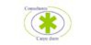 Consultores Carpe Diem