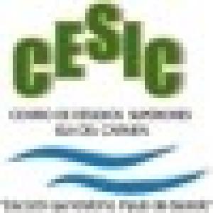 Centro de Estudios Superiores de Isla Del Carmen