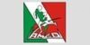 Asociación Mexicana de Educación Deportiva