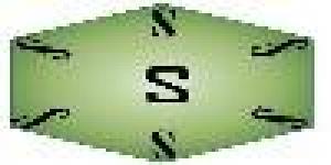 Saskor Capacitación