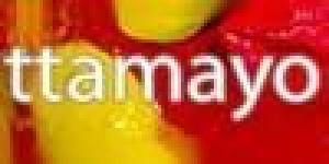 Escuela de Técnicas de Pintura Vincent Van Gogh