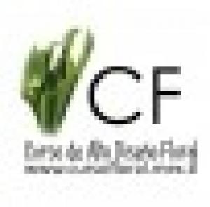 Curso Floral Monterrey