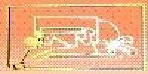 Sociedad Mexicana de Medicina Física y Rehabilitación