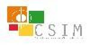 Centro de Soluciones Informáticas de Monterrey