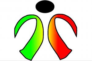 Centro de Capacitación Virtual Nachihua